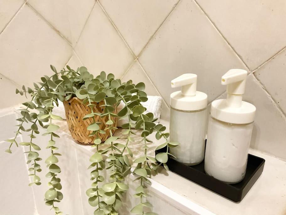 Ks Costa Mayka - San Jose - Kaleria Suites Dış mekan fotoğraf